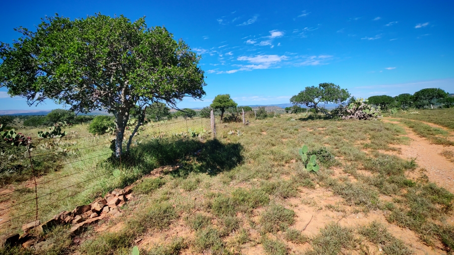 0 Bedroom Property for Sale in Somerset East Rural Eastern Cape